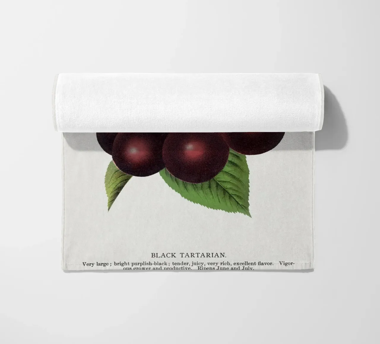 Black Tartarian cherry telo mare da vintageshop