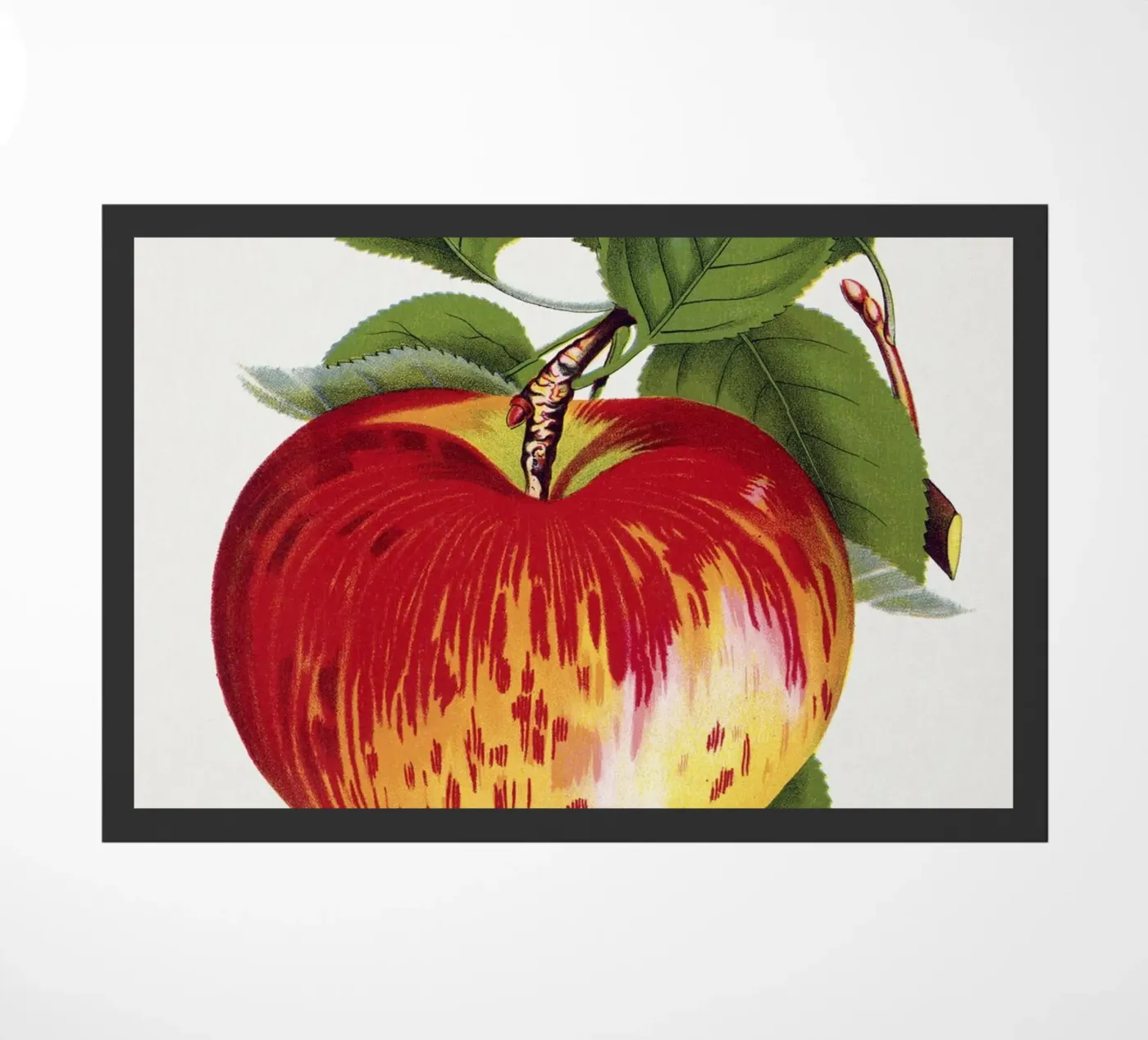 Wealthy apple zerbino da vintageshop