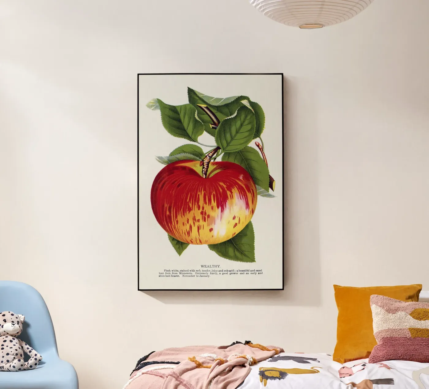 Wealthy apple plexiglass da vintageshop