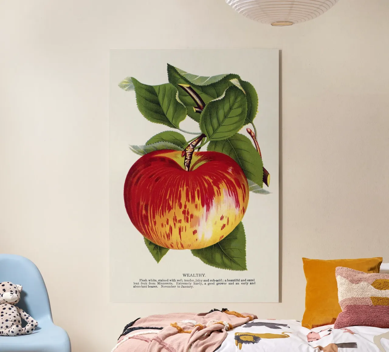 Wealthy apple plexiglass da vintageshop