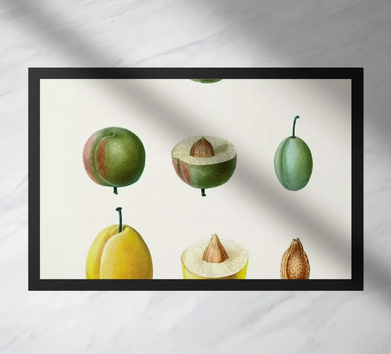 Prunes zerbino da Flora & Fauna