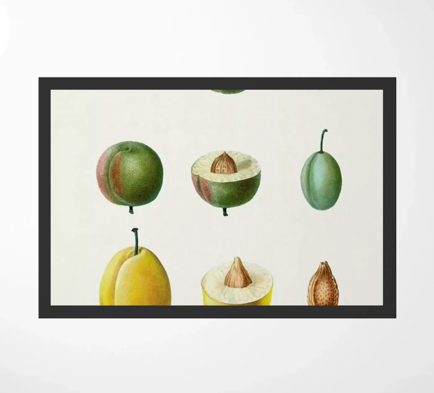 Prunes doormat by Flora & Fauna