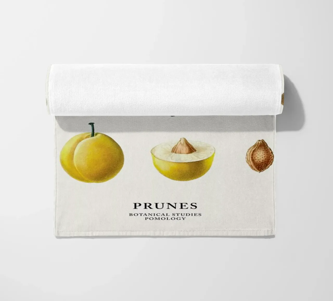 Prunes telo mare da Flora & Fauna