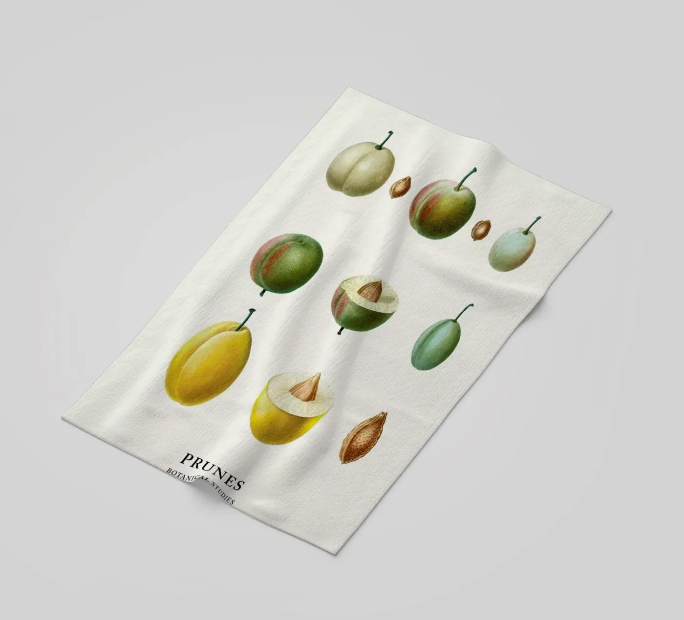 Prunes telo mare da Flora & Fauna