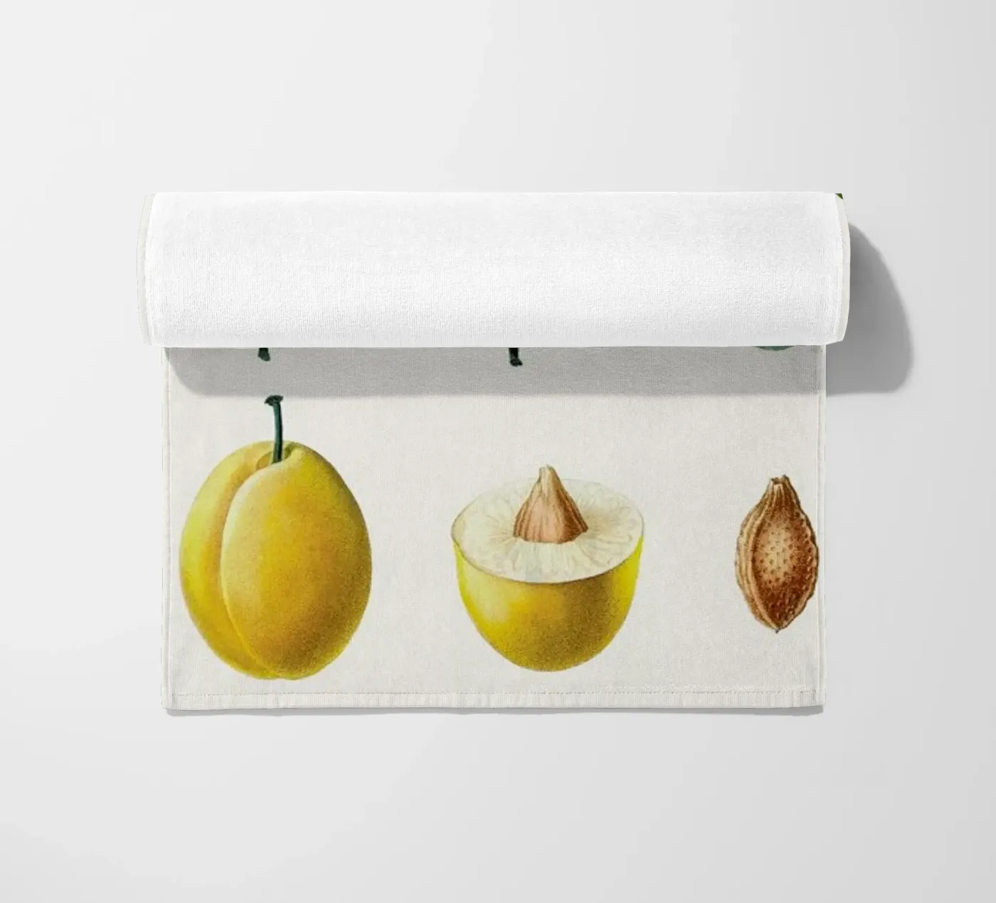 Prunes telo mare da Flora & Fauna