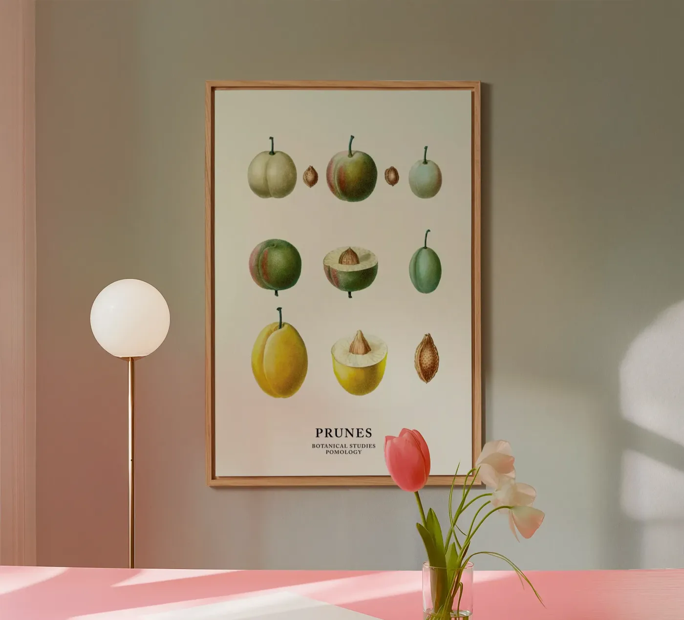 Prunes forex-plaat van Flora & Fauna
