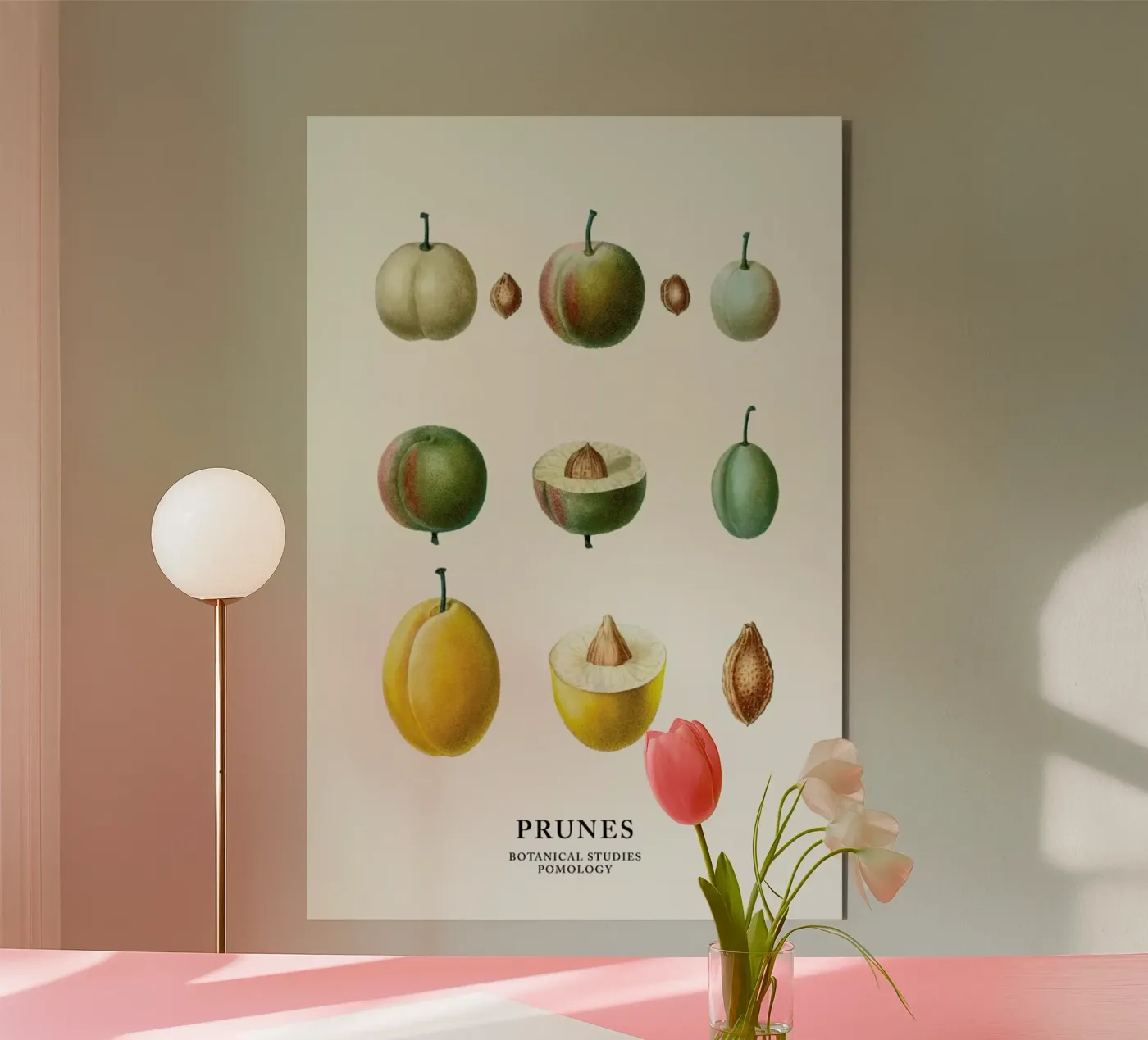 Prunes forex-plaat van Flora & Fauna