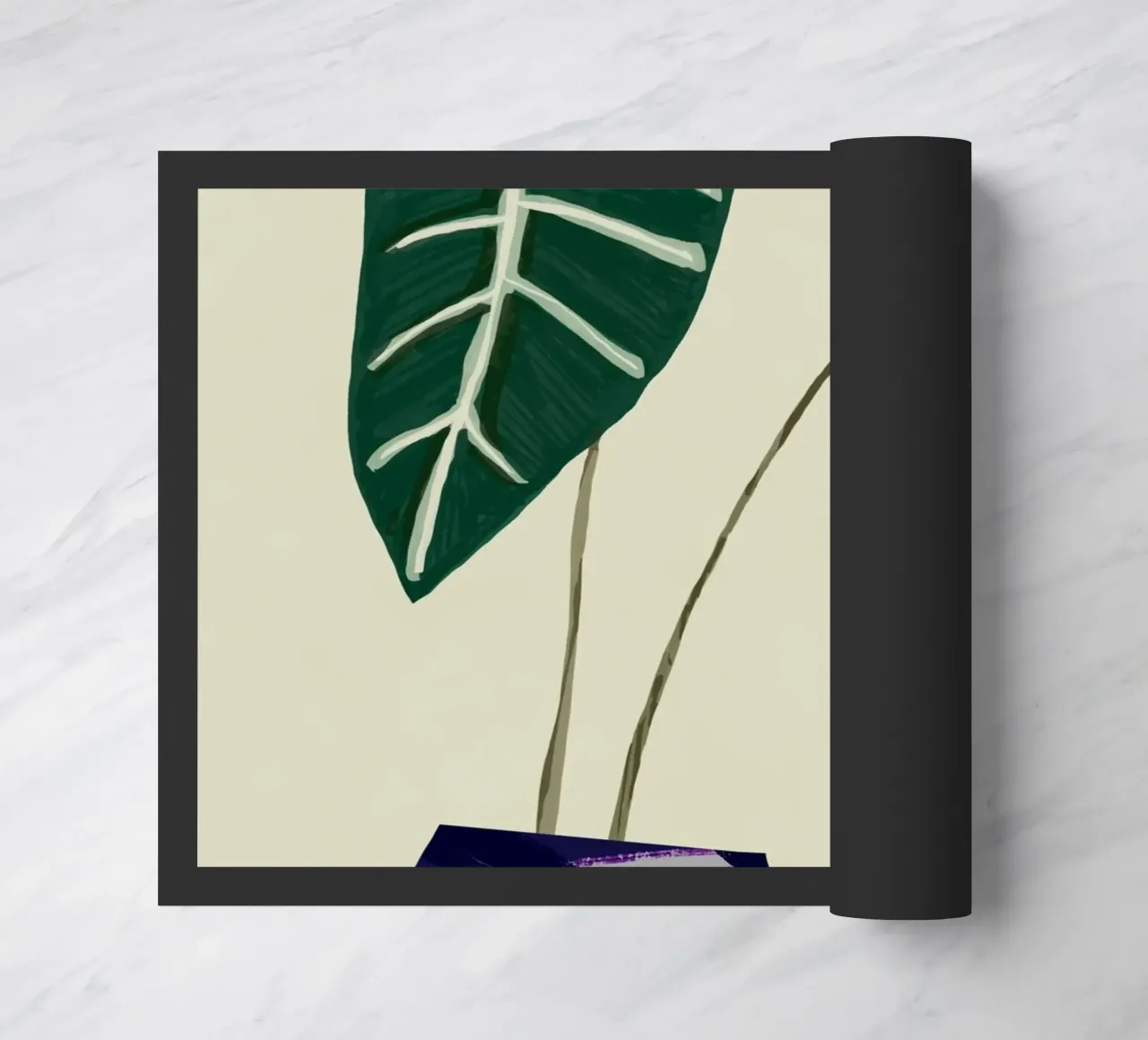 Begonia da interno zerbino da Little Dean