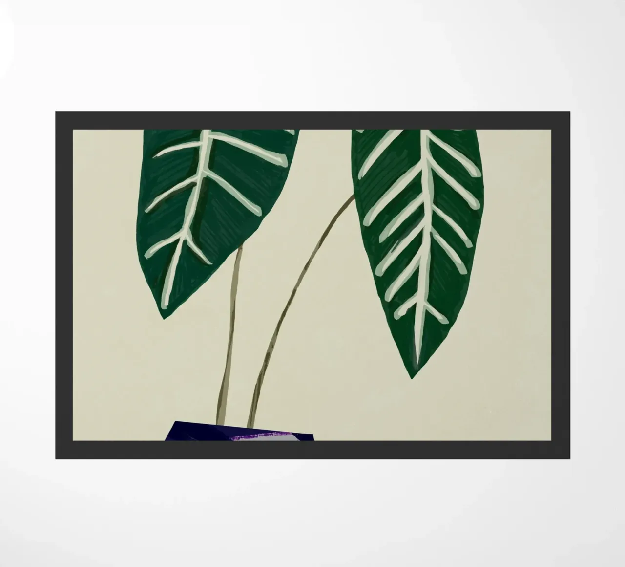 Begonia da interno zerbino da Little Dean