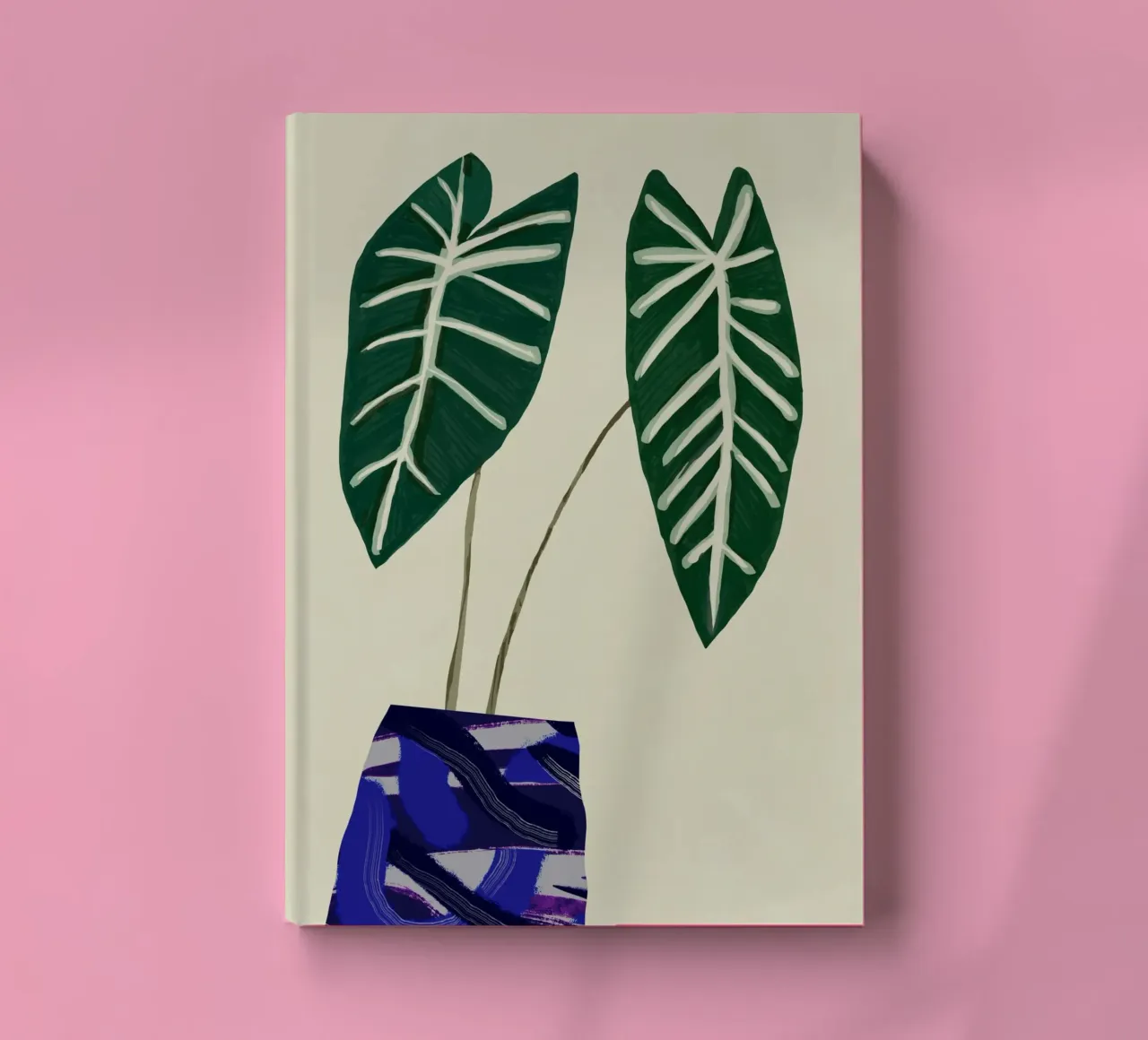 Begonia da interno diario da Little Dean