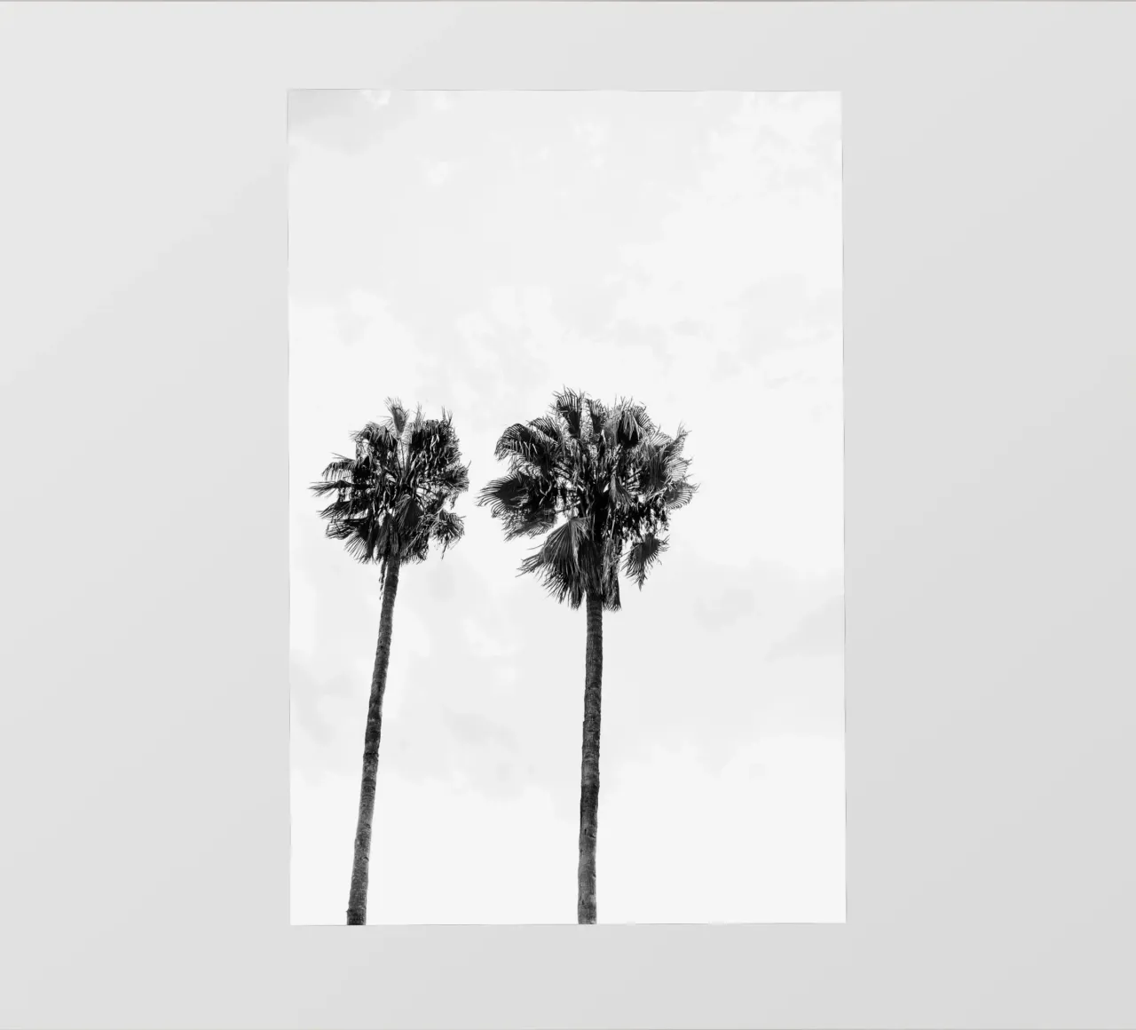 Palm trees in Marrakesh pellicola backlit da photolovers