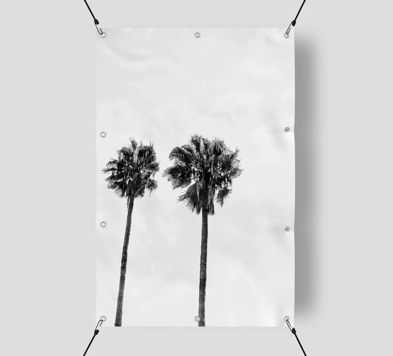 Palm trees in Marrakesh telo in pvc da photolovers