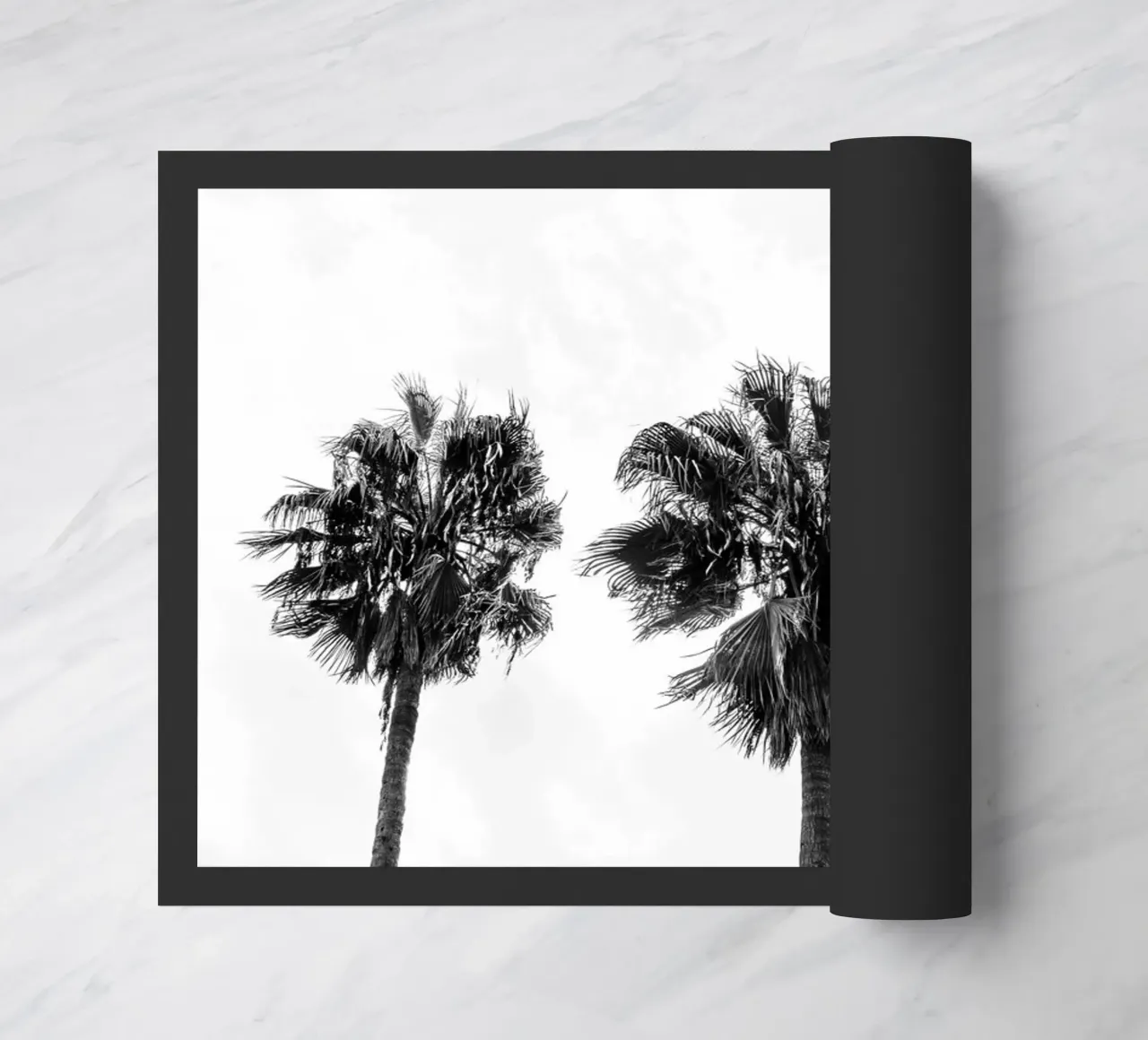 Palm trees in Marrakesh zerbino da photolovers