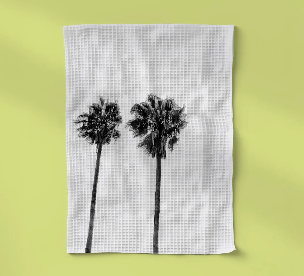 Palm trees in Marrakesh canovaccio da cucina da photolovers