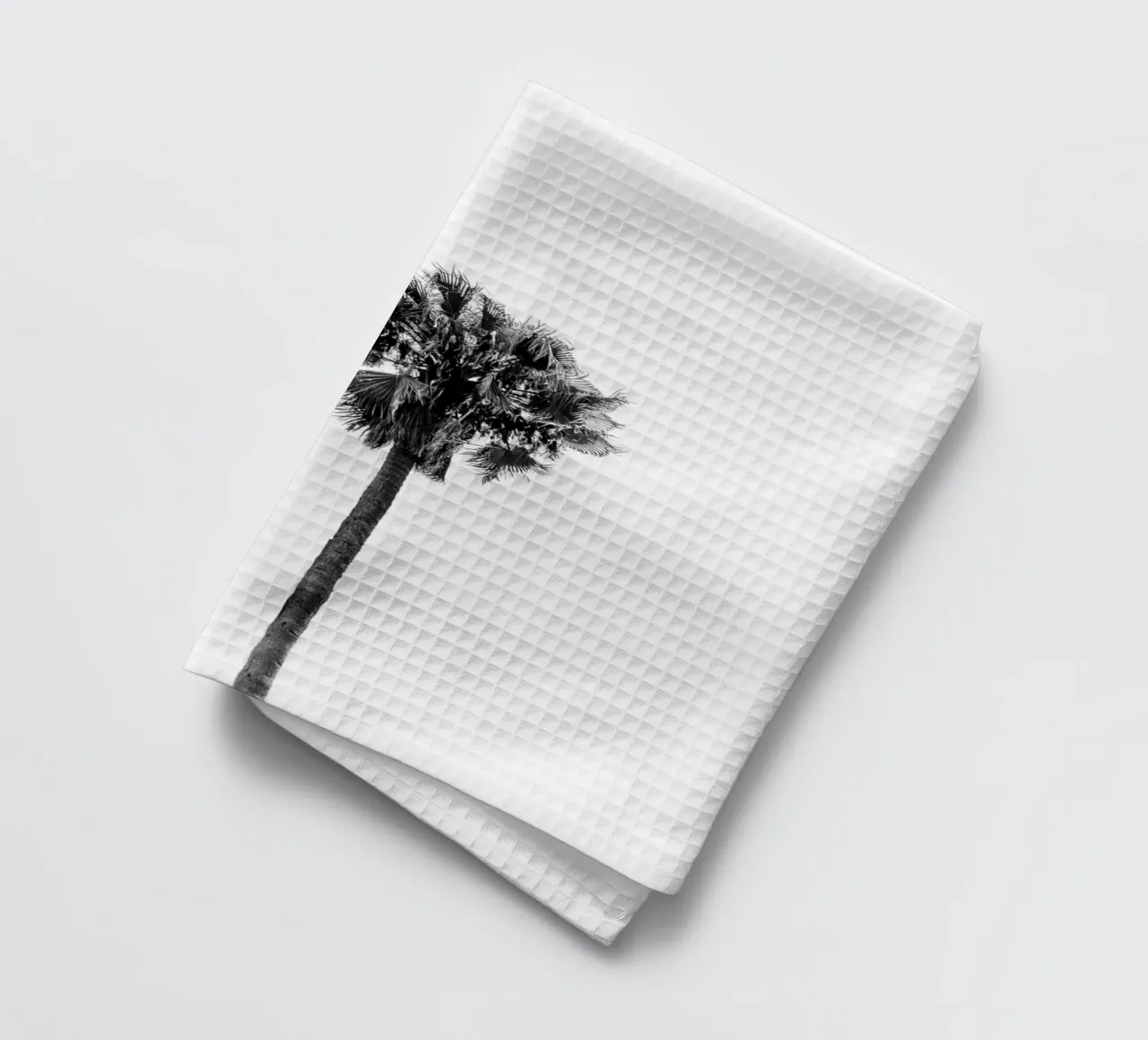 Palm trees in Marrakesh canovaccio da cucina da photolovers