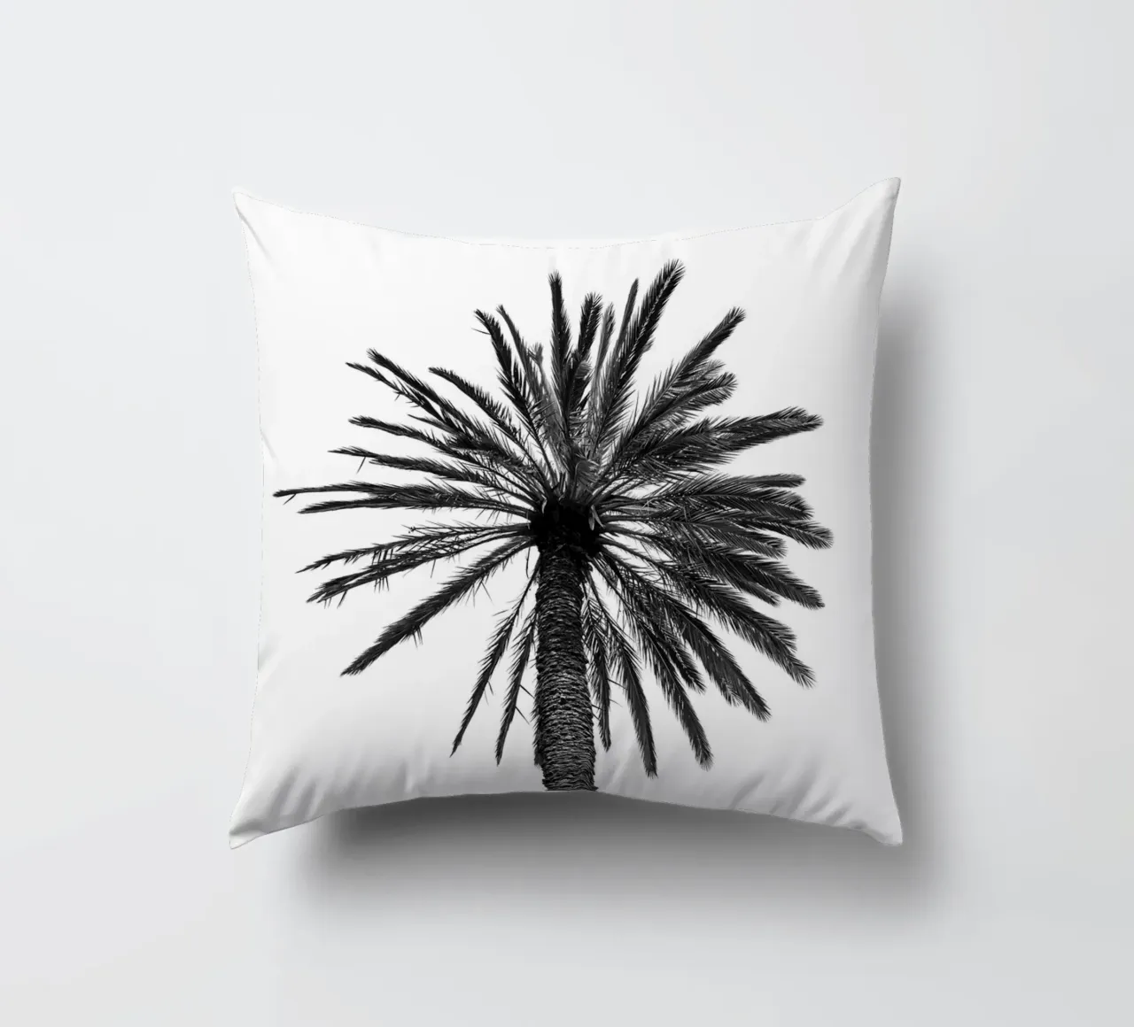 Palm tree in Marrakesh cuscino da photolovers