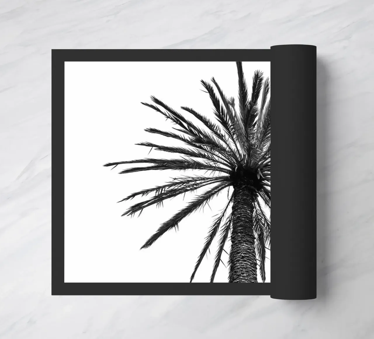 Palm tree in Marrakesh zerbino da photolovers
