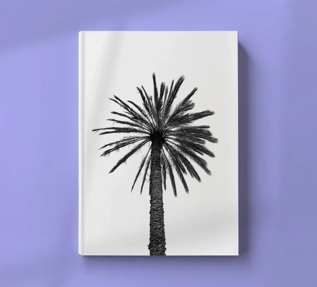 Palm tree in Marrakesh notebook by photolovers