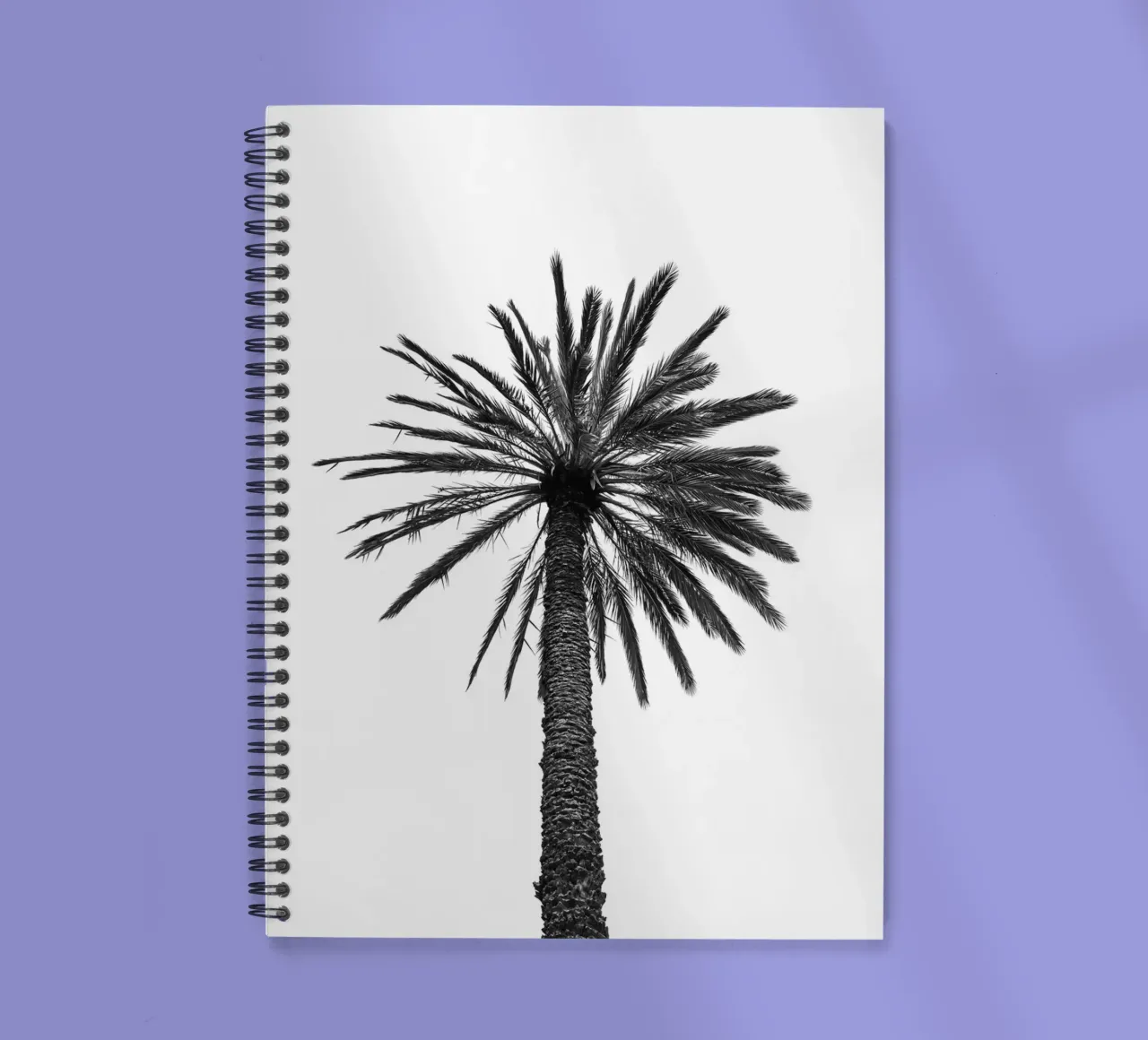 Palm tree in Marrakesh spiral notebook by photolovers