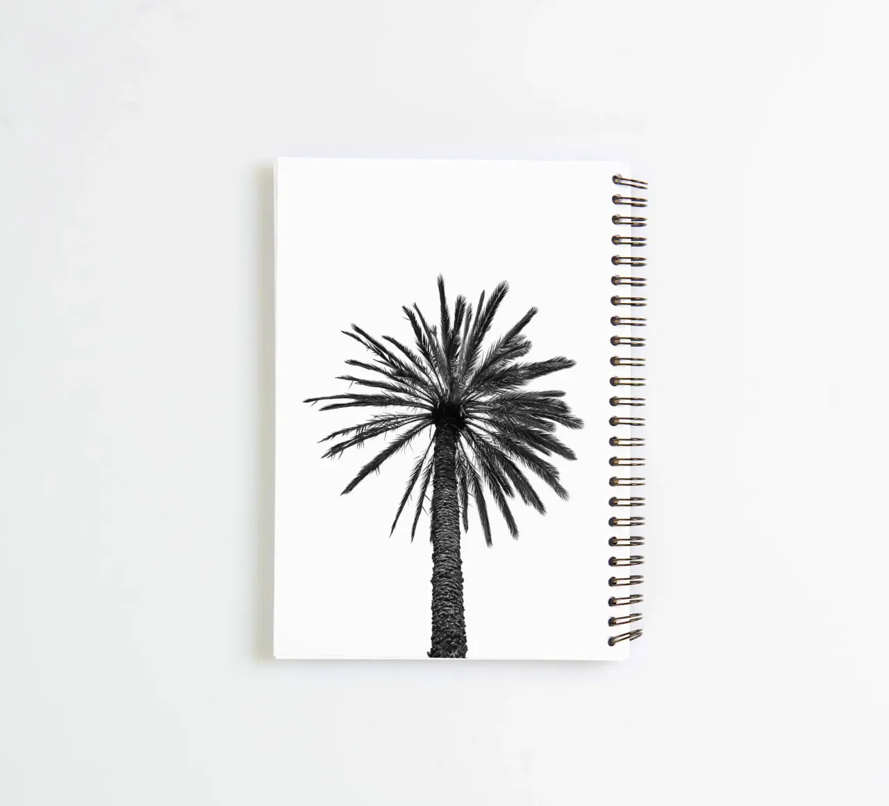 Palm tree in Marrakesh spiral notebook by photolovers