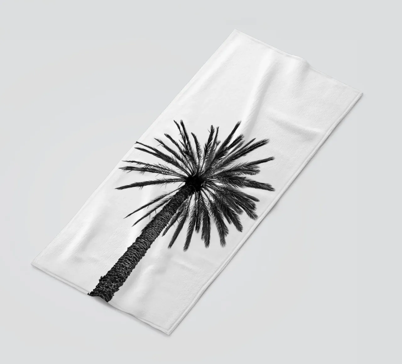 Palm tree in Marrakesh telo mare da photolovers