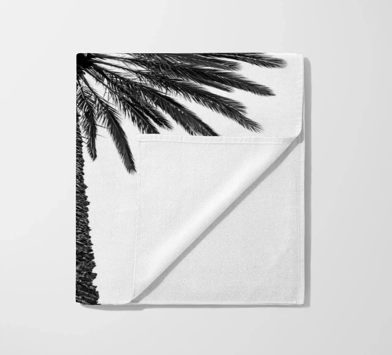 Palm tree in Marrakesh telo mare da photolovers