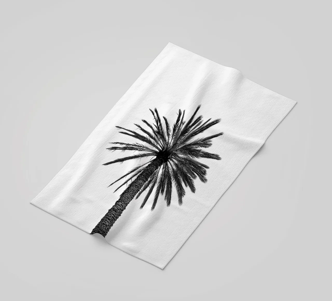 Palm tree in Marrakesh telo mare da photolovers