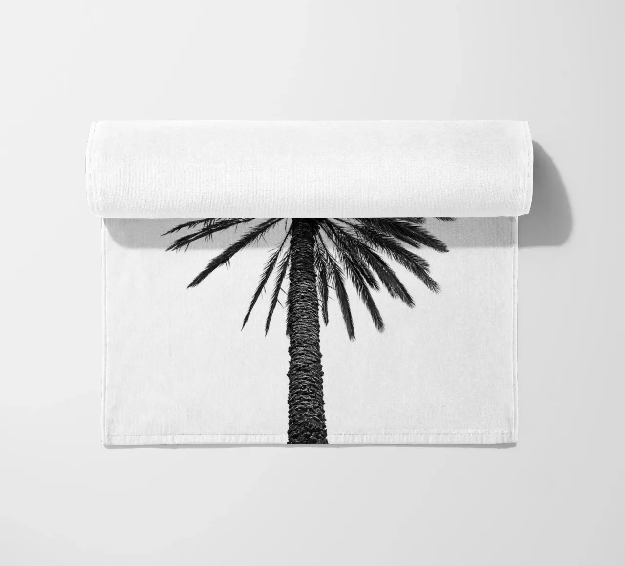 Palm tree in Marrakesh telo mare da photolovers