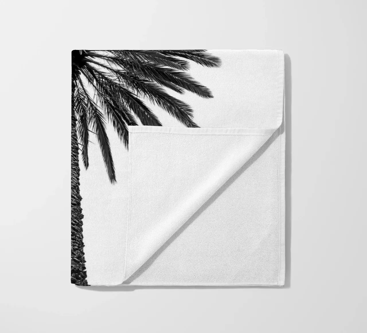 Palm tree in Marrakesh telo mare da photolovers