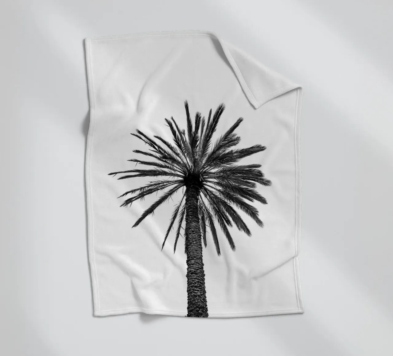 Palm tree in Marrakesh coperta in pile da photolovers