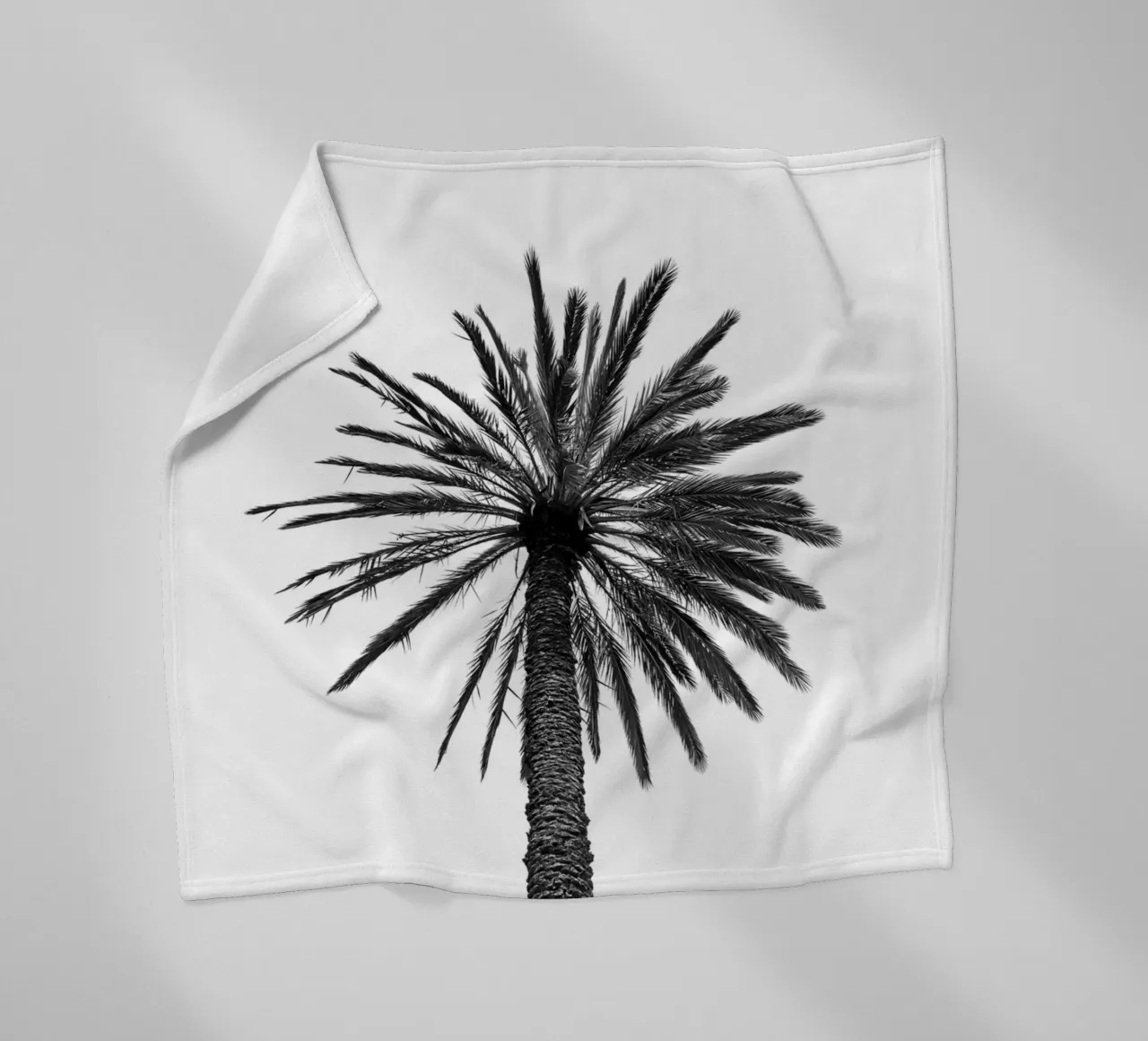 Palm tree in Marrakesh coperta in pile da photolovers