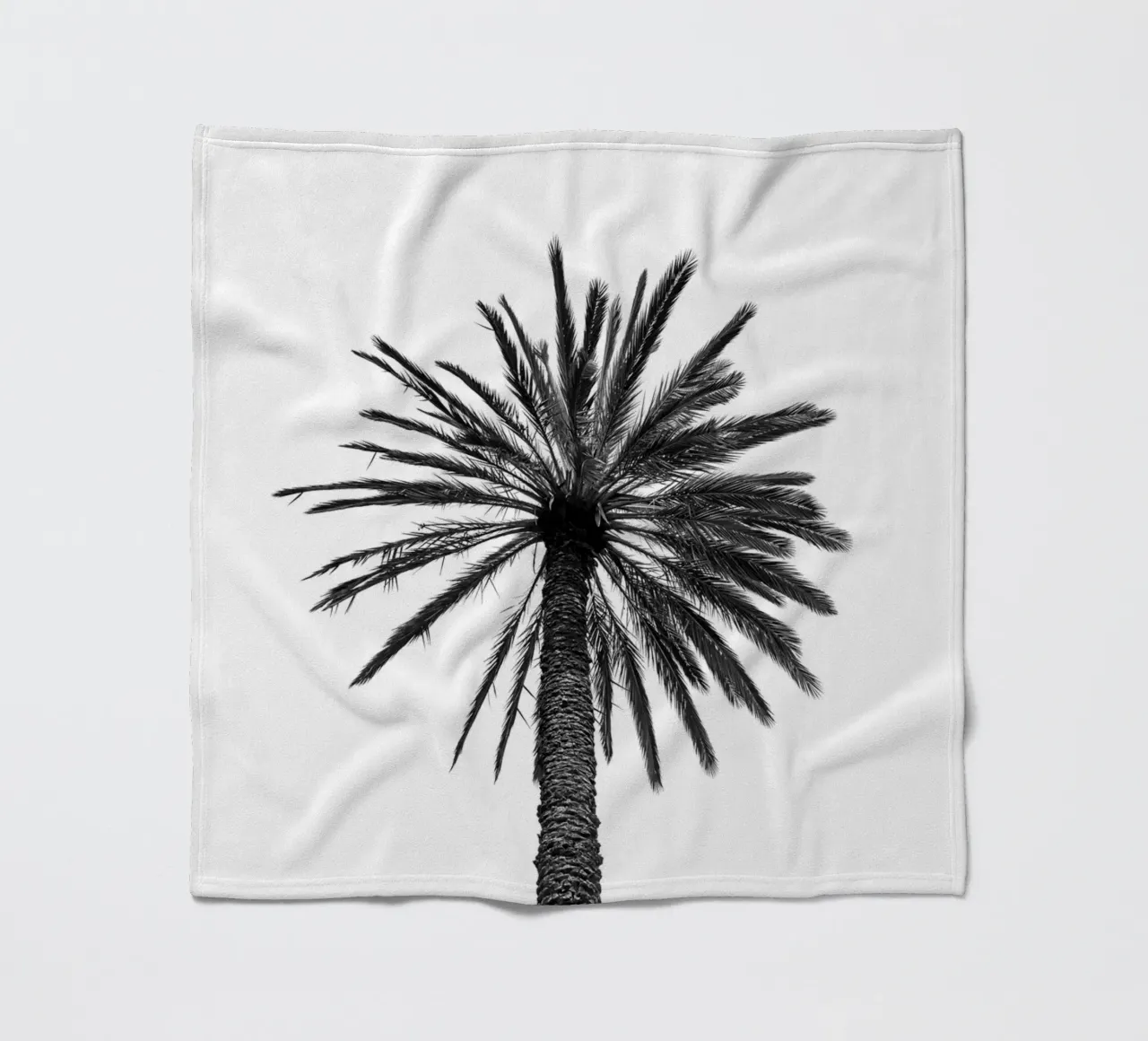 Palm tree in Marrakesh coperta in pile da photolovers