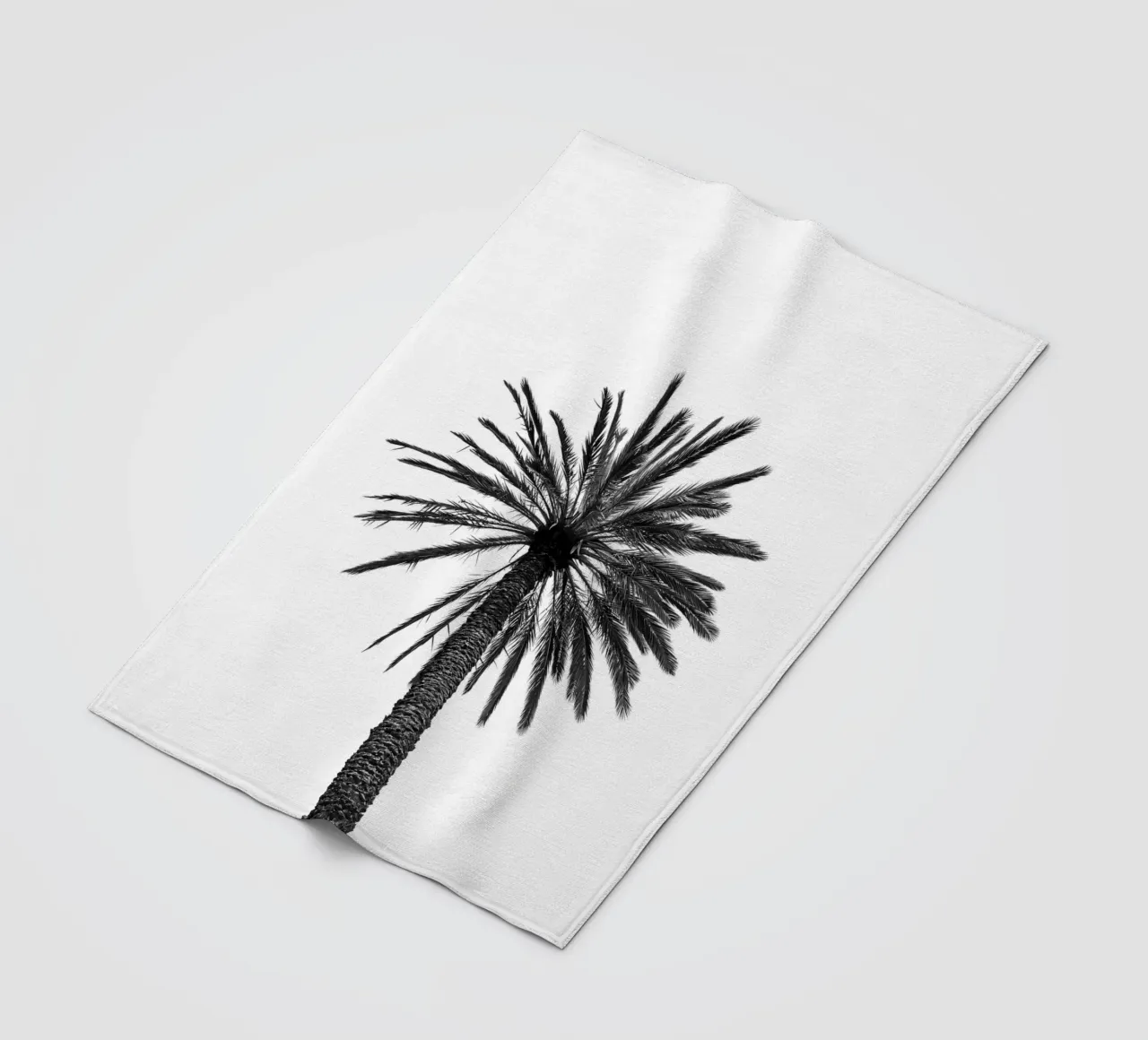 Palm tree in Marrakesh coperta in pile da photolovers