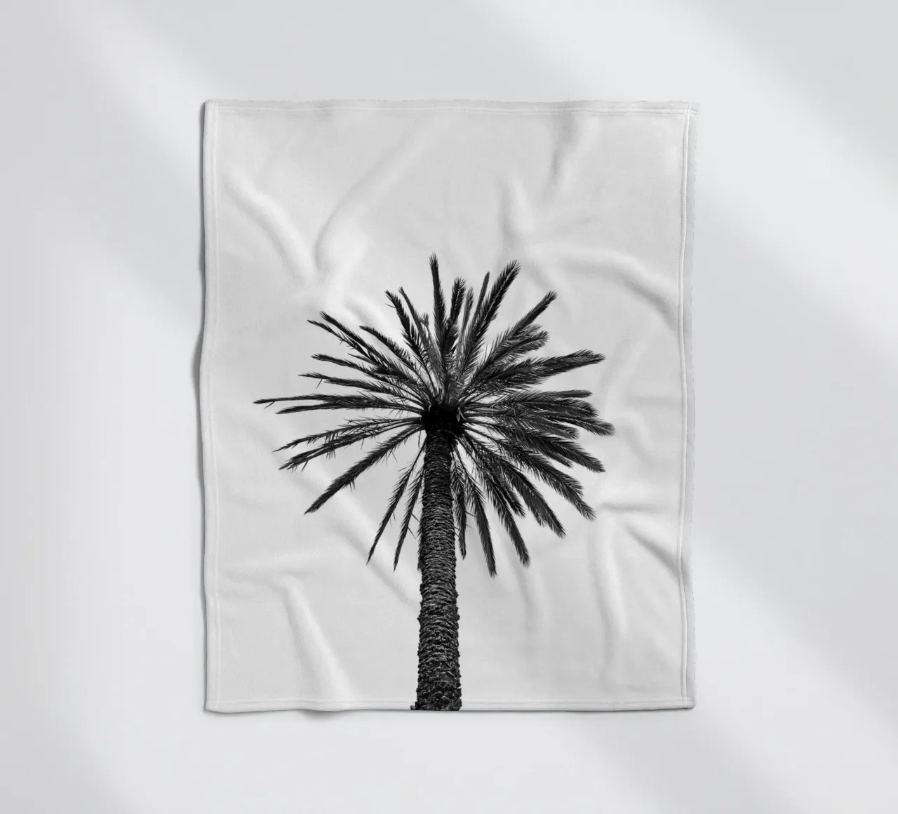 Palm tree in Marrakesh coperta in pile da photolovers