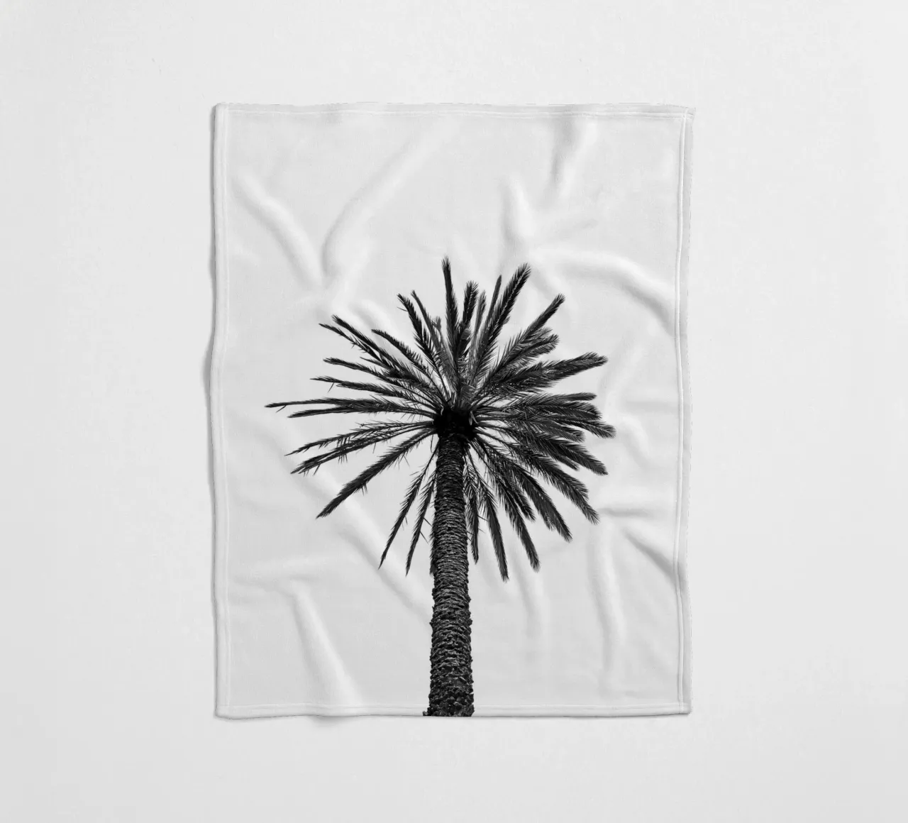 Palm tree in Marrakesh coperta in pile da photolovers