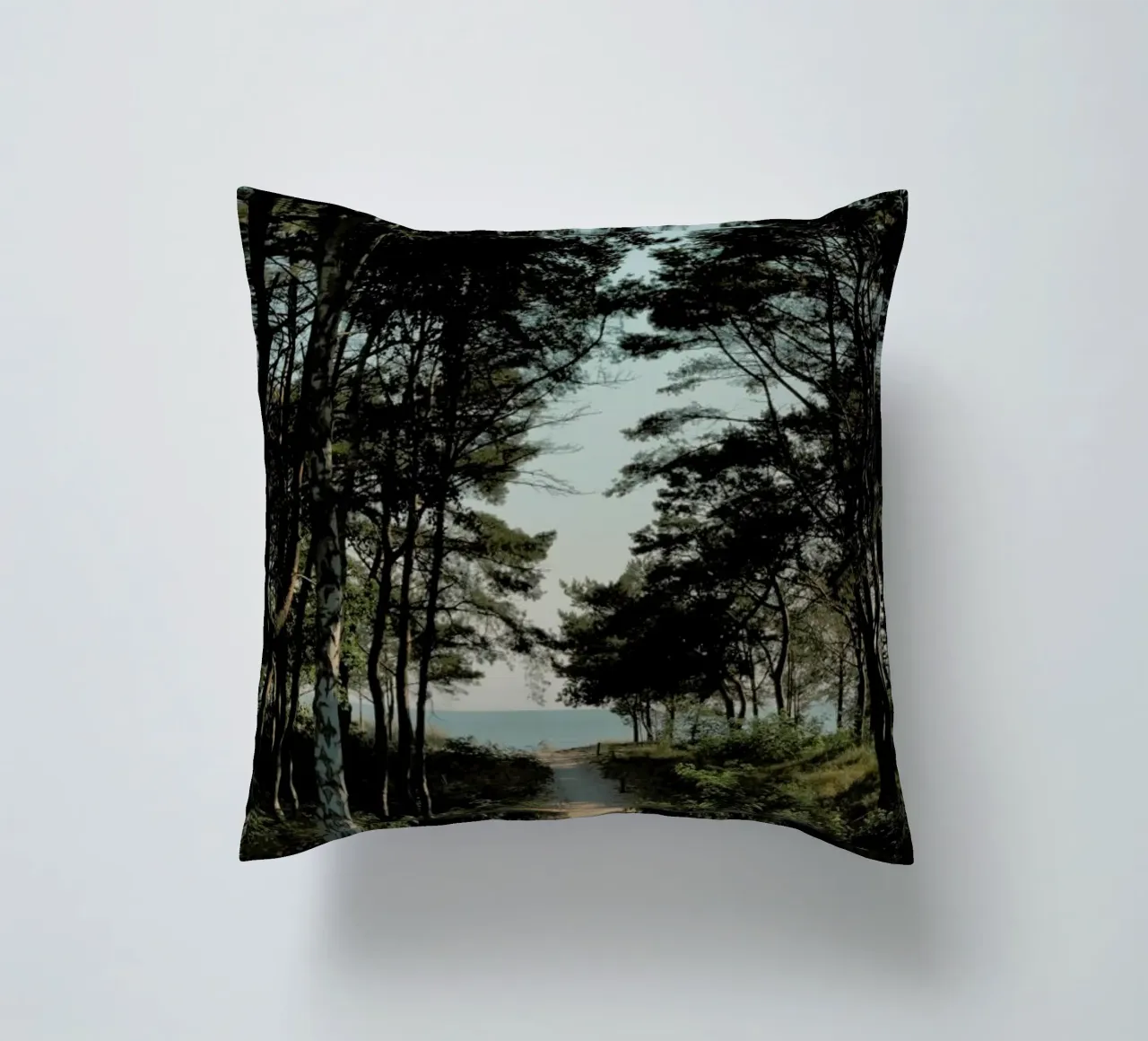 Beach Path cuscino da Sebastian Hilgetag