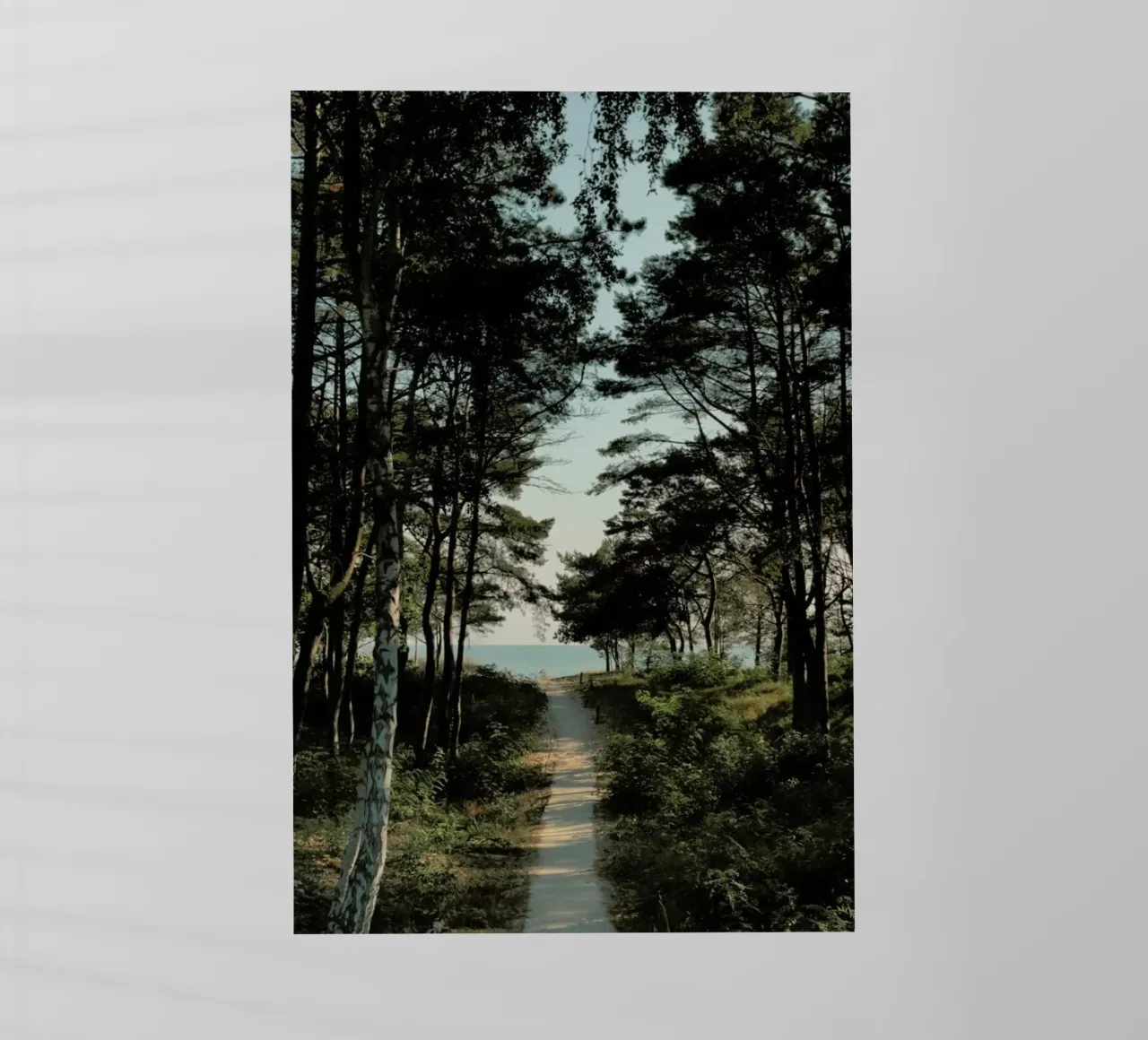 Beach Path pellicola backlit da Sebastian Hilgetag