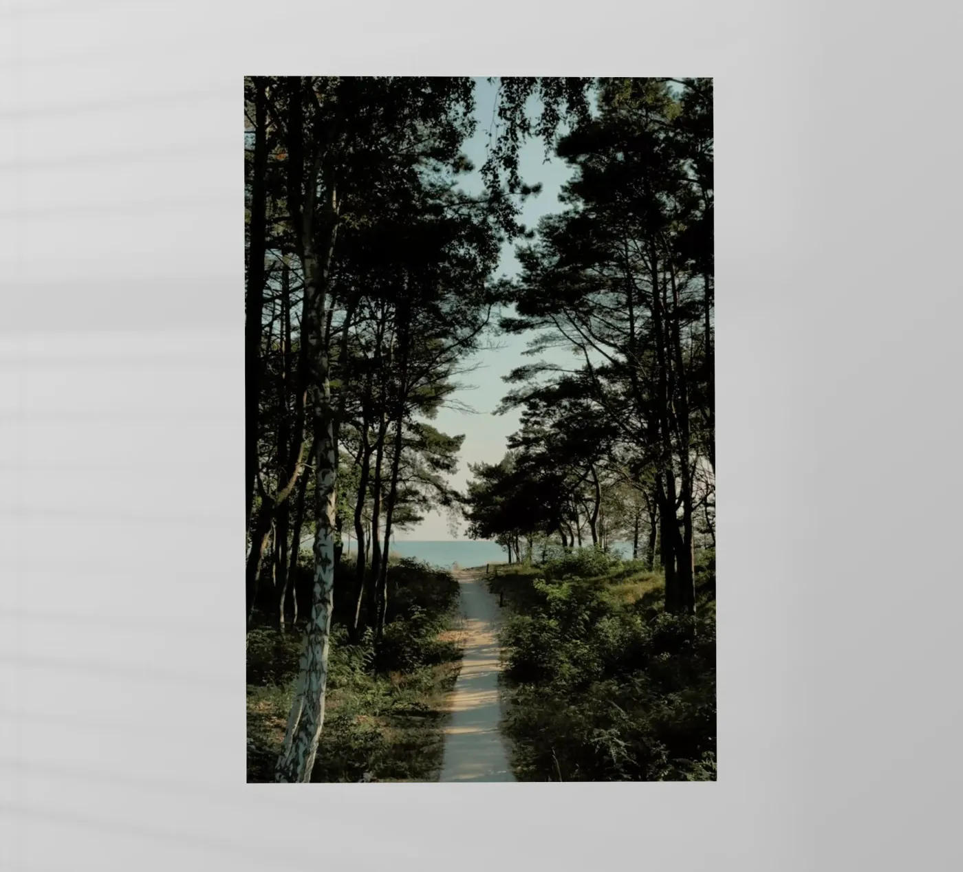Beach Path pellicola backlit da Sebastian Hilgetag