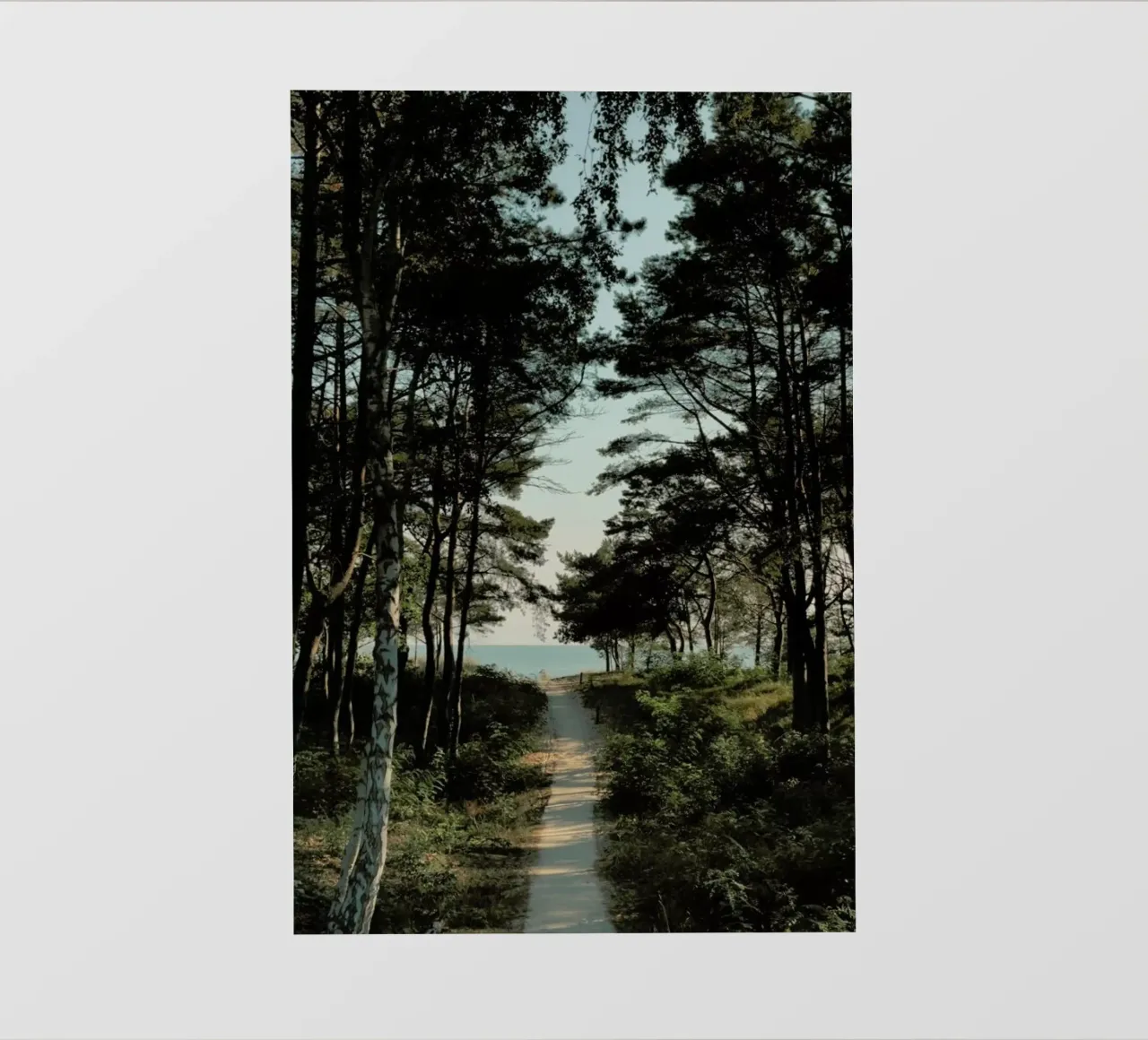 Beach Path pellicola backlit da Sebastian Hilgetag