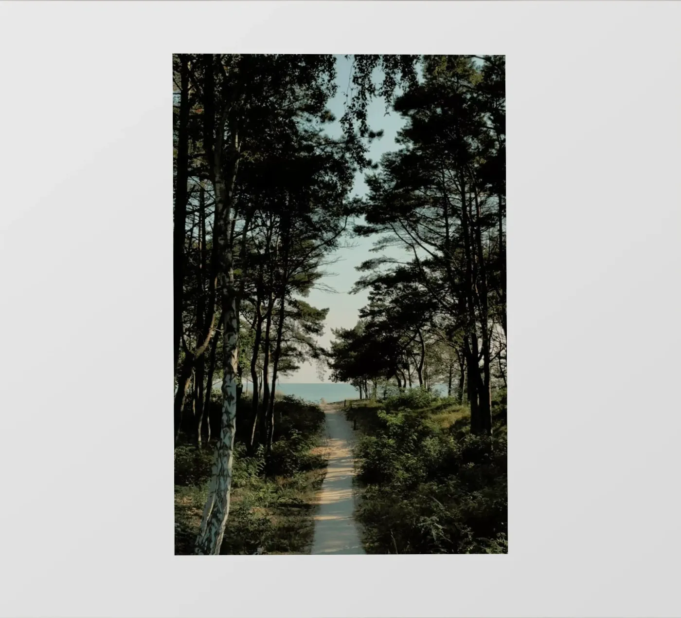 Beach Path backlit folie van Sebastian Hilgetag