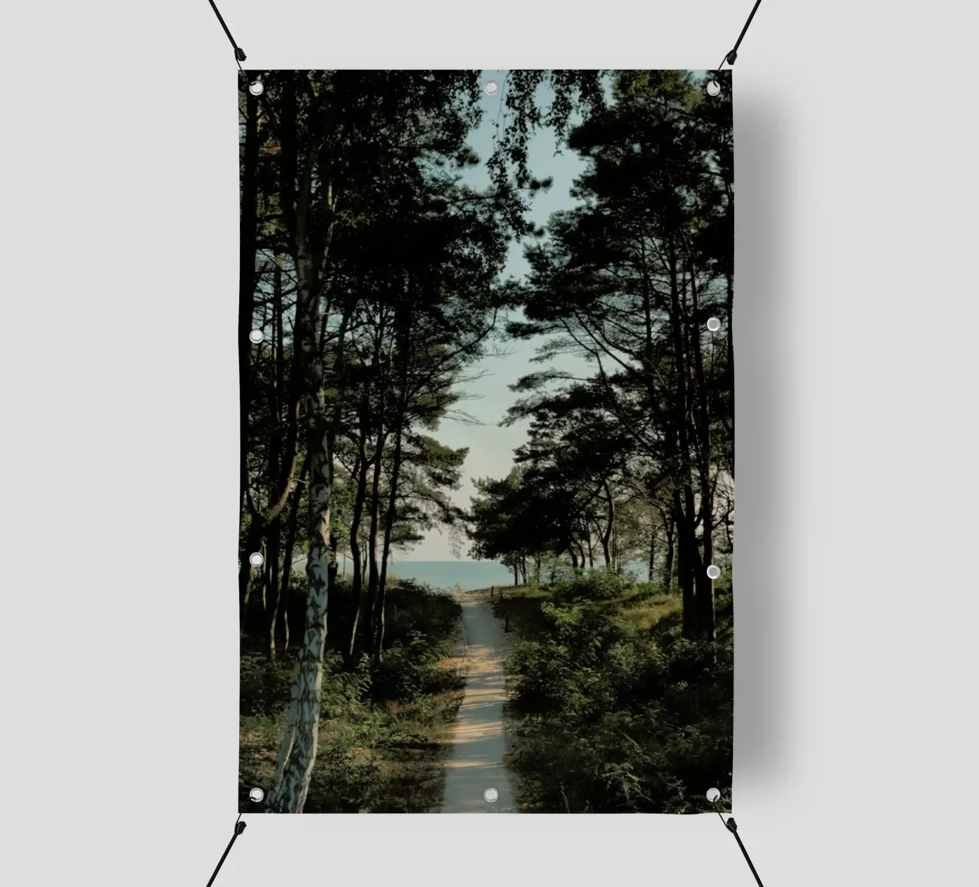 Beach Path pvc cover by Sebastian Hilgetag
