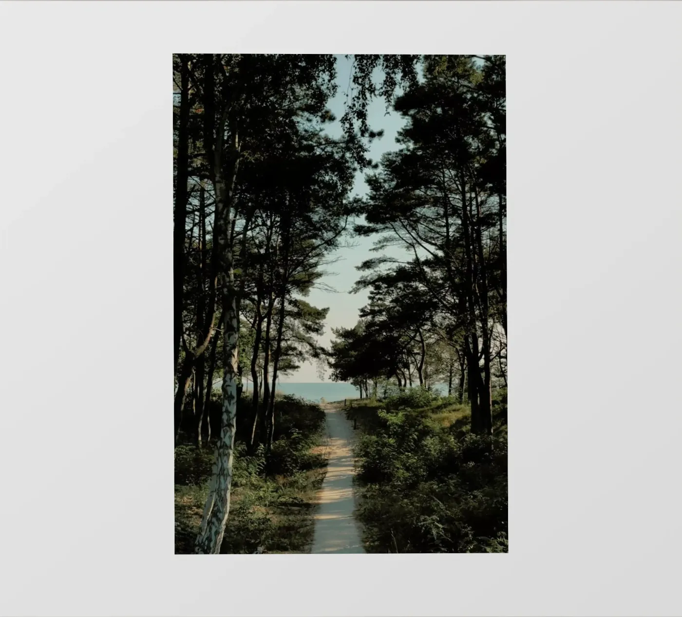 Beach Path telo in pvc da Sebastian Hilgetag