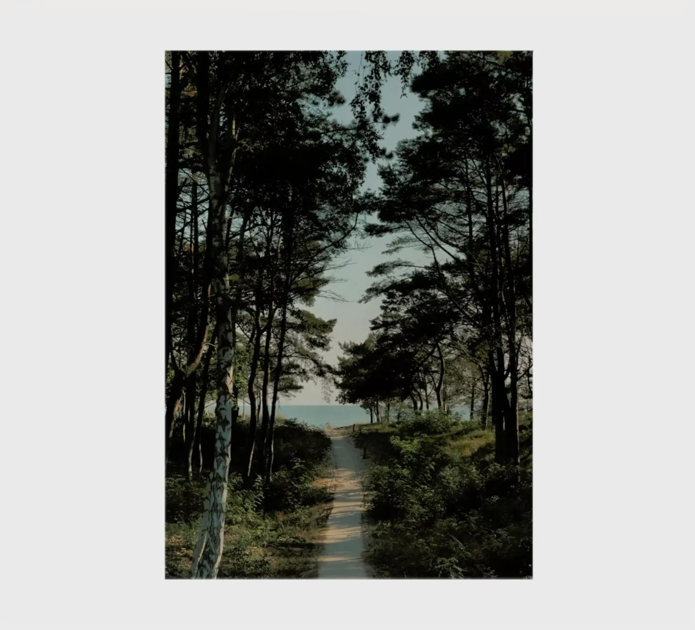 Beach Path quaderno da Sebastian Hilgetag