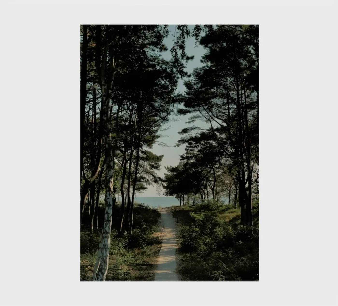 Beach Path quaderno da Sebastian Hilgetag