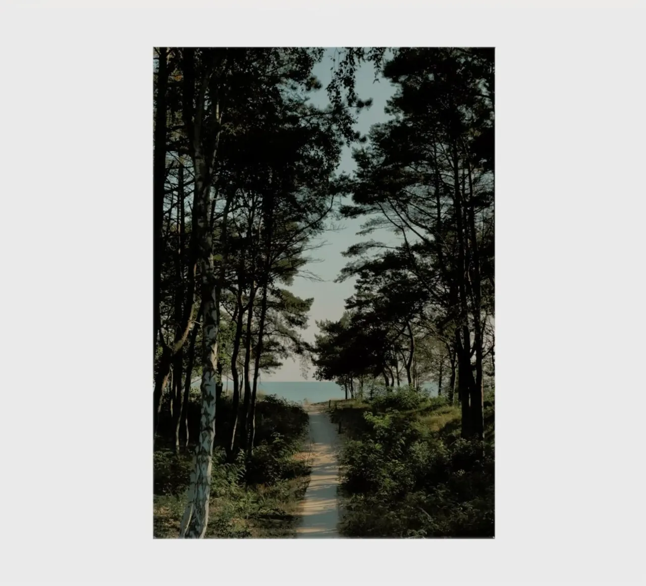 Beach Path diario da Sebastian Hilgetag