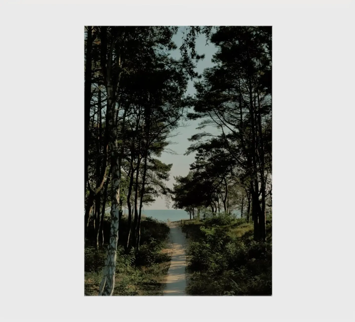 Beach Path quaderno da Sebastian Hilgetag