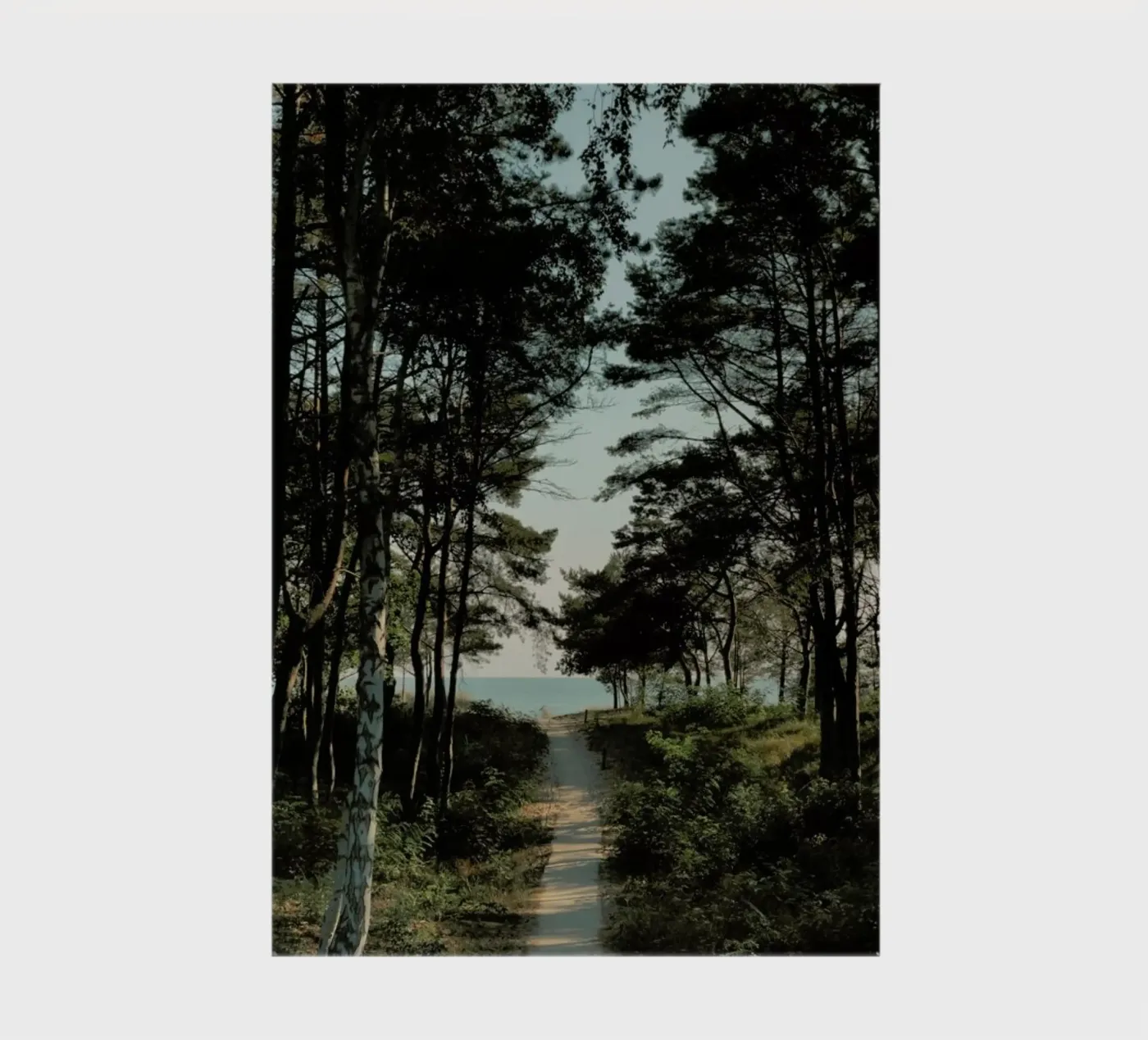 Beach Path quaderno da Sebastian Hilgetag