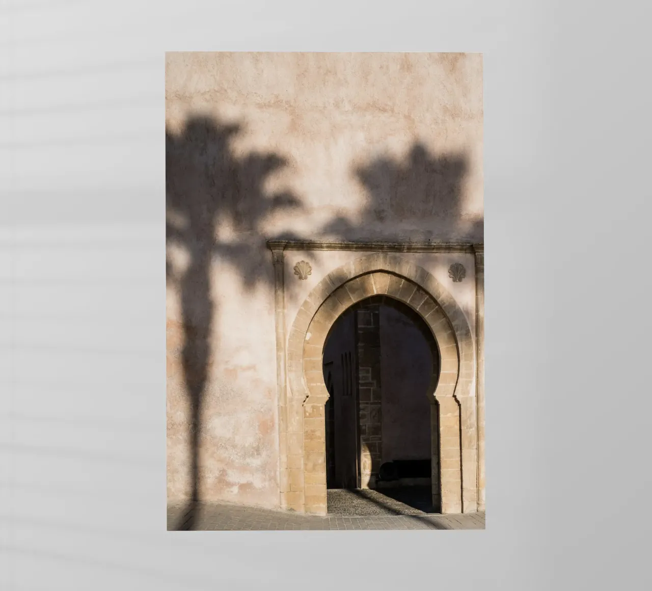 Shadow of a tree on the wall pellicola backlit da photolovers