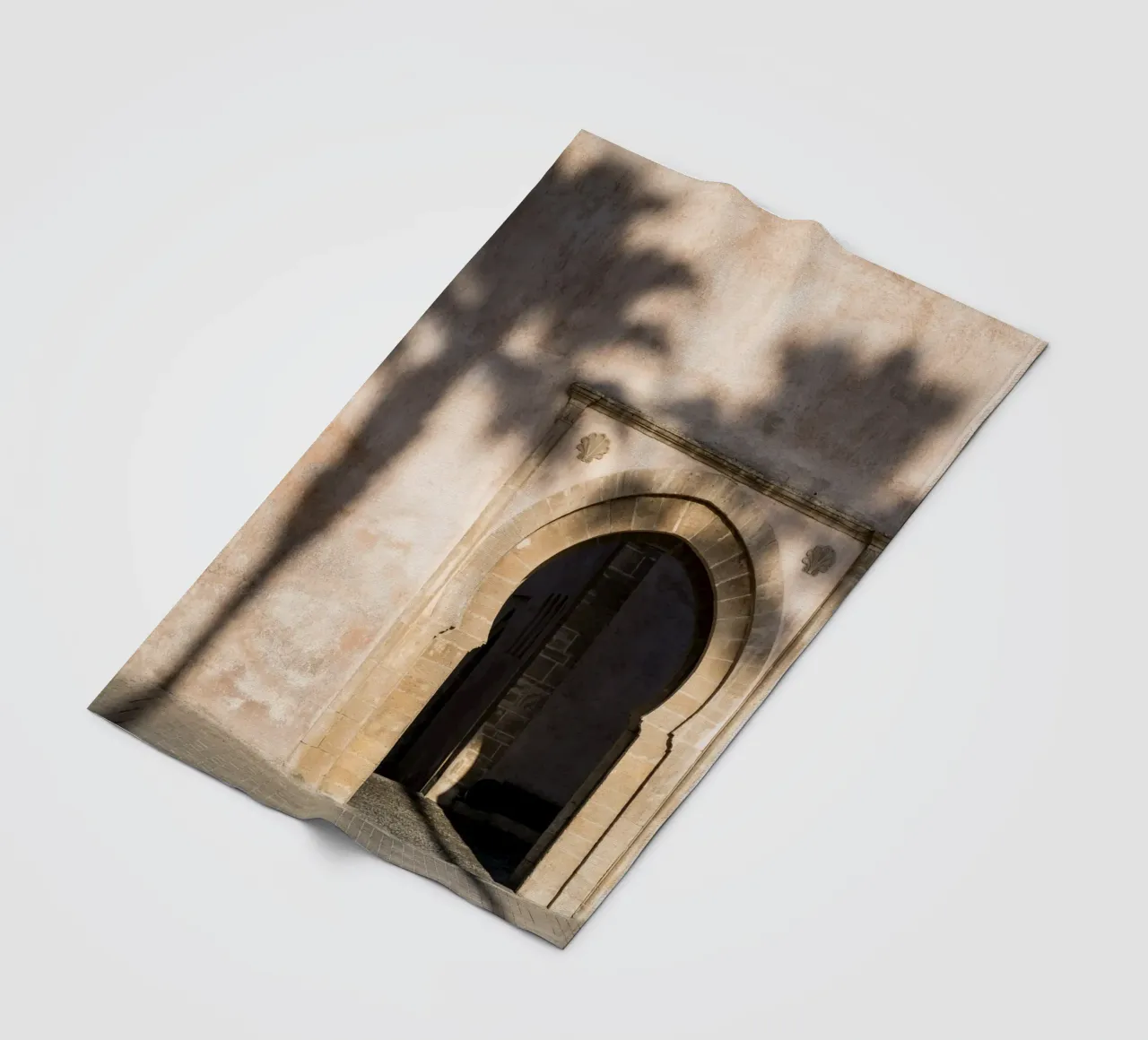 Shadow of a tree on the wall coperta in pile da photolovers