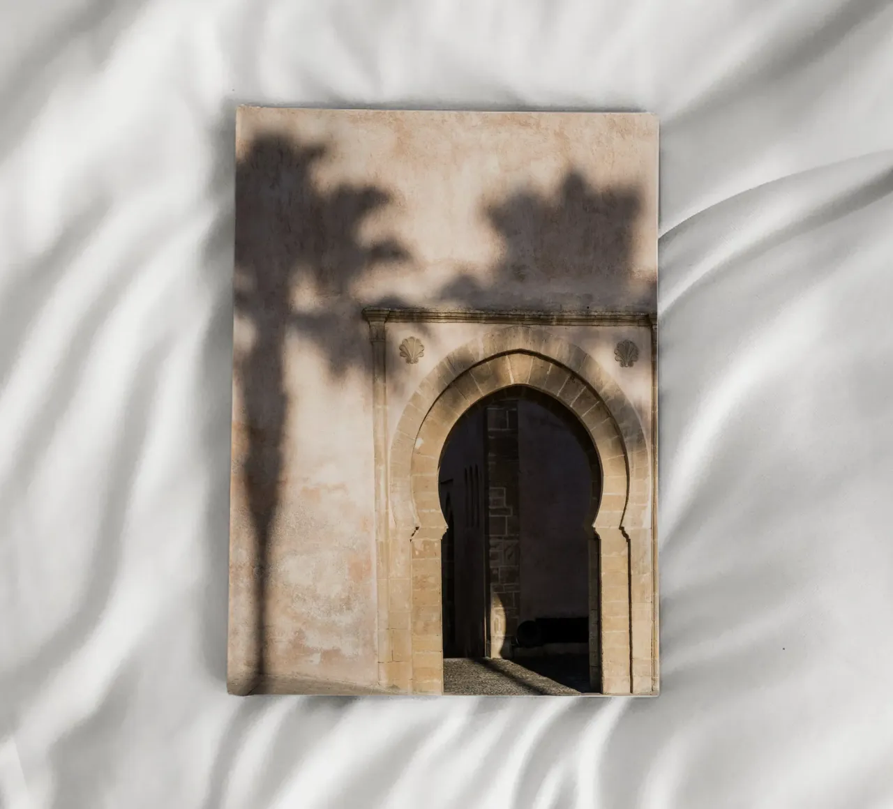 Shadow of a tree on the wall diario da photolovers